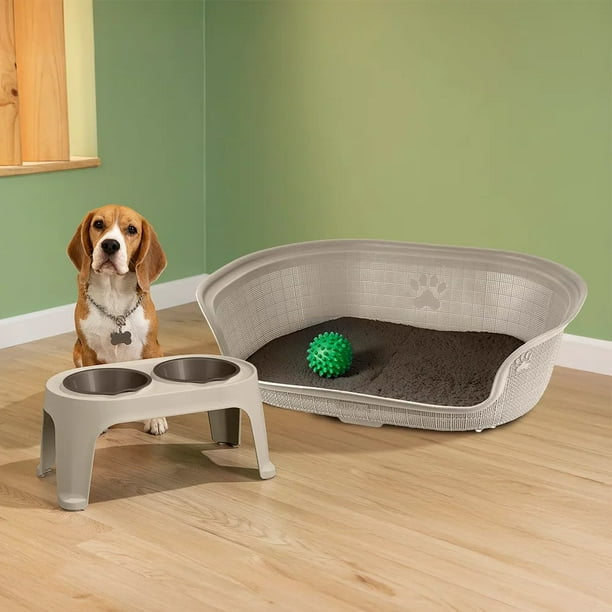 Combo Kit Mascota Cama Plástica Confortable Ideal razas Medianas Comedero Alto 2 tazones Ergonómico RIMAX
