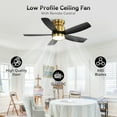 thumbnail image 2 of Sofucor 42" Black ABS Blade Flush Mount Ceiling Fan, LED 22W 3-Color Dimmable Light with Memory, DC Motor, 6-Speed Remote (Reverse Airflow, Timer), 2 of 11