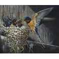 thumbnail image 2 of Goebel, Wilhelm 17x15 Gold Ornate Wood Framed with Double Matting Museum Art Print Titled - Country Living  - Barn Swallows, 2 of 4