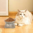 thumbnail image 3 of WEGFTDUOP Cute Cat Food & Water Bowl - Large Capacity Neck Protection Design for Cats, 3 of 6