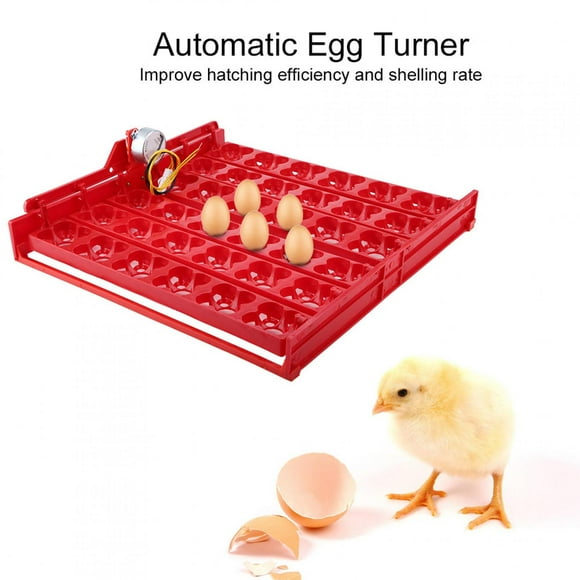 Eggs Incubator, Automatic Eggs Hatcher, For Bird Eggs Incubator Bird Incubator Hatcher Egg Strips