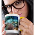 thumbnail image 2 of 3drose, Stoplight Parrotfish, Bonaire, Netherlands Antilles-ca09 Pox0085 - Pete Oxford, 11oz Two-tone Yellow Mug, 2 of 6