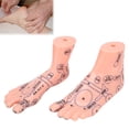 thumbnail image 4 of Foot Reflexology Model, Foot Acupuncture Teaching Model  Teaching Tool  For Family For School For Clinic For Hospital, 4 of 8