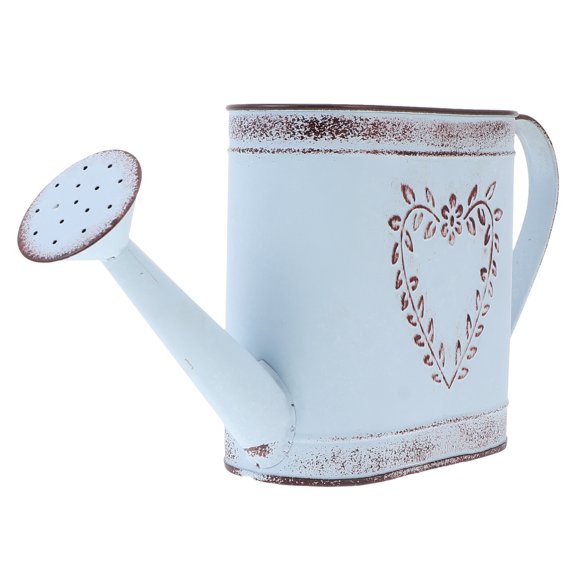 FRCOLOR Home Decor Antique Flower Pot Indoor Plants Watering Can