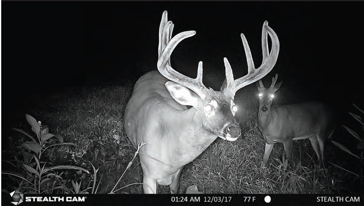 Stealth Cam STCXV4 XV4 Night Imaging Trail Camera 22 MP