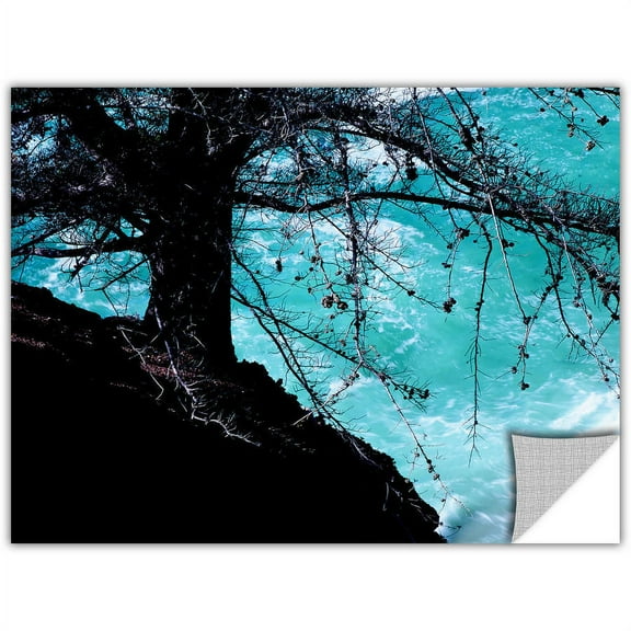 Dean Uhlinger "Big Sur Coast" Removable Wall Art Graphic