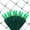 Green, variant on SoftTwinkle Pulsing Net Twinkle Lights, Net Lights Outdoor Twinkling Lights, Green Wire (70 Lights, 4’ x 6’ Net, Blue)