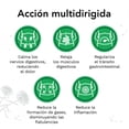 thumbnail image 4 of Iberogast mezcla de plantas solución oral 50 ml jarabe, 4 of 4