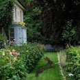 thumbnail image 1 of Backyard Sign Outdoor Lawn Sign Stakes for Easter Decoration, 1 of 7