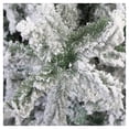 thumbnail image 2 of Árbol de Navidad Naviplastic Glaciar color Verde nevado de 160 cm, 2 of 3
