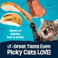 thumbnail image 5 of Purina Friskies Party Pack’d with Flavors of Chicken, Liver and Turkey Crunchy Dry Cat Food, 15 lb., 5 of 11