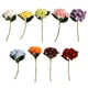 thumbnail image 3 of Advancent Juego de plantas artificiales duraderas de bajo mantenimiento de 5 uds. Para entornos aptos para mascotas, amplia aplicación para Decoración Blanco, 3 of 6