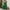 Green, variant on ZZwxWA Women's 2025 Summer Wrap Mini Dress High Waist Casual Swiss Dot Flowy Ruffle Sundress Short Sleeve V Neck Swing Short Dress