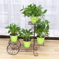 thumbnail image 6 of 3/4/6/7-Tier Metal Shelf Plant Stand, Wrought Iron Plants Stand Outdoor Metal Flower Pot Planters Rack Indoor European Style Plant Shelf Garden Decor, 6 of 19