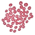 thumbnail image 3 of 100x Protable Number Tag Number 1-100 for Hotel Warehouse Dormitory Keys red+white word, 3 of 6