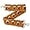Cartoon Flower Brown, variant on Monebena Crochet Flower Purse Strap Replacement Crossbody Bag Handbag 2" Wide Adjustable (Floral Apricot)