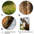 thumbnail image 3 of Designart "Horizon of Countryside Donkey II" Animals Framed Wall Art - Traditional Grey Donkey Entryway Framed Wall Art, 3 of 6