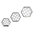 thumbnail image 4 of Admired By Nature Wall-Mounted Metal Wire Hanging Storage Shelves, A. Black, 4 of 5