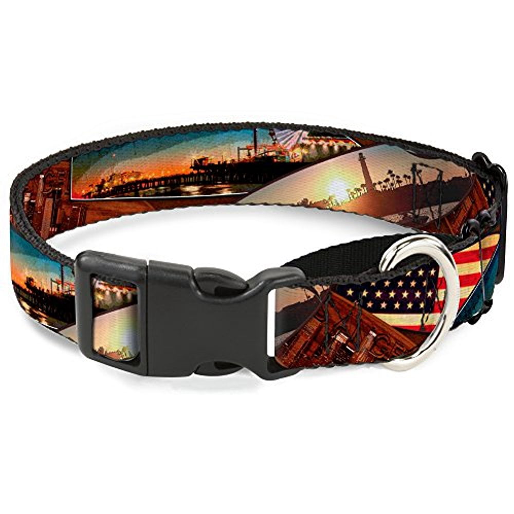 buckle-down "surfboard cali scenes us flag stacked" martingale dog collar