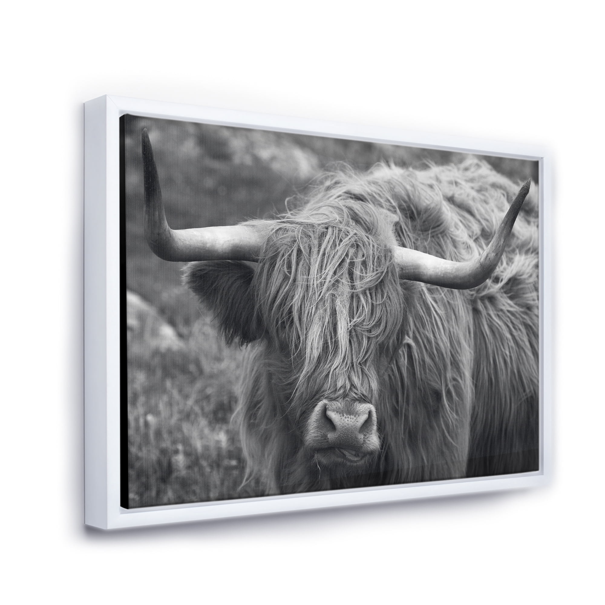 Designart 'Close Up Of Scottish Cow On Moorland I' Farmhouse Framed Canvas Wall Art Print