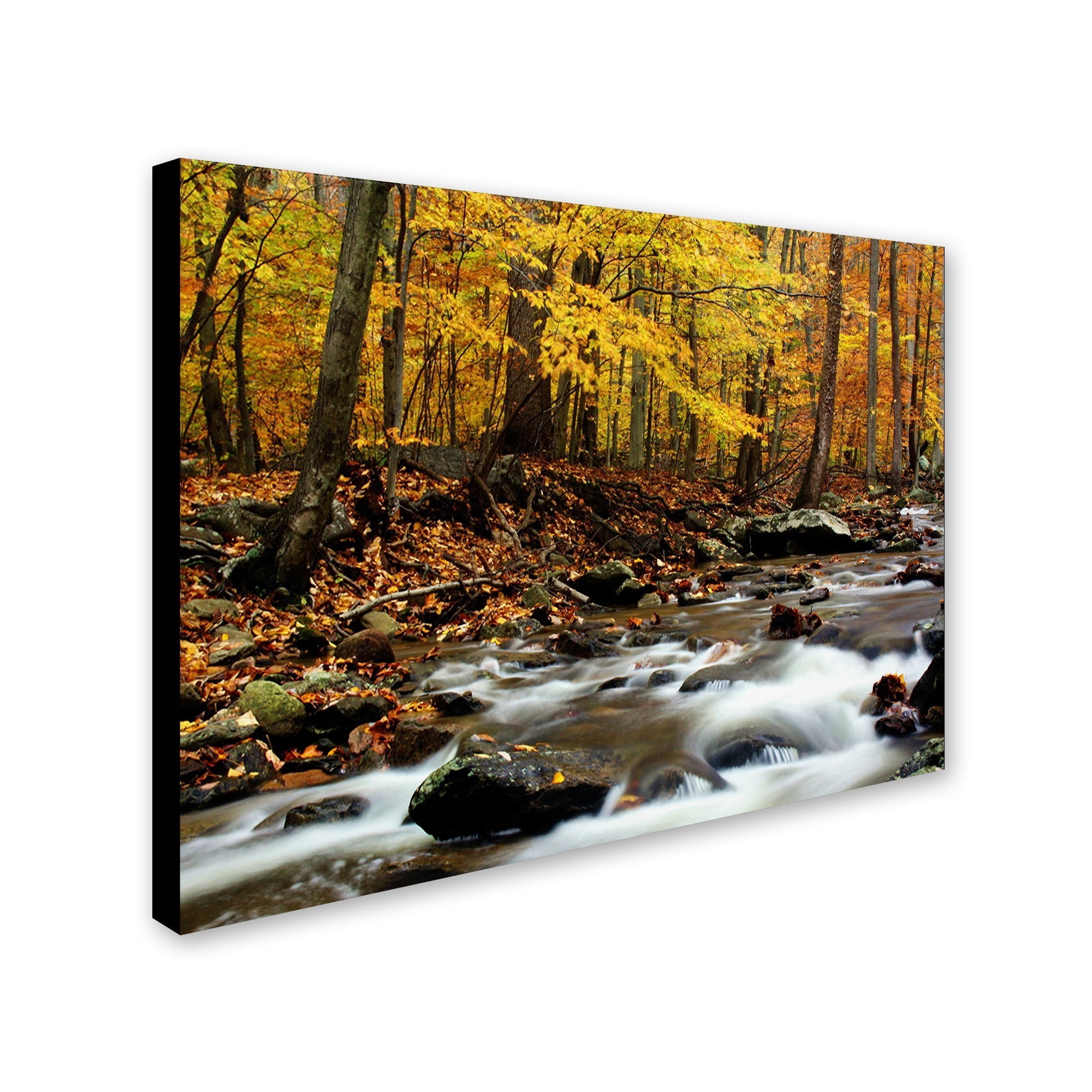 Trademark Art "Autumn's Fire II" Canvas Art by CATeyes