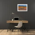 thumbnail image 3 of Young, Bill 18x13 White Modern Wood Framed Museum Art Print Titled - Orange purple blossoms, Namaqua NP, South Africa, 3 of 4