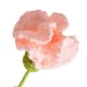 thumbnail image 2 of Clavel Ganchillo Punto Terminado para Cumpleaños Boda (color Piel), 2 of 9