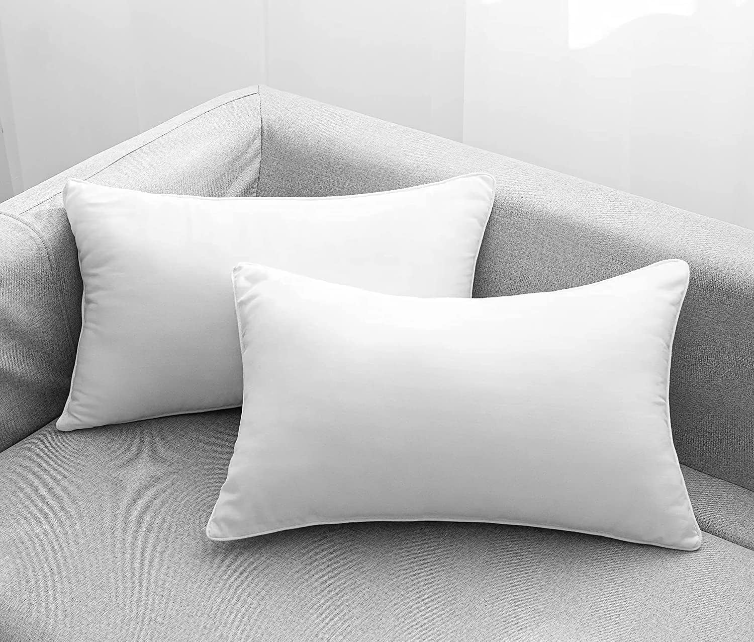 Sleepsia 20 x 20 Pillow Inserts (Set of 2) - Fluffy Polyester Down  Alternative Lightweight Bed and Couch Pillows - 20 Inch Square, Sofa  Decorative