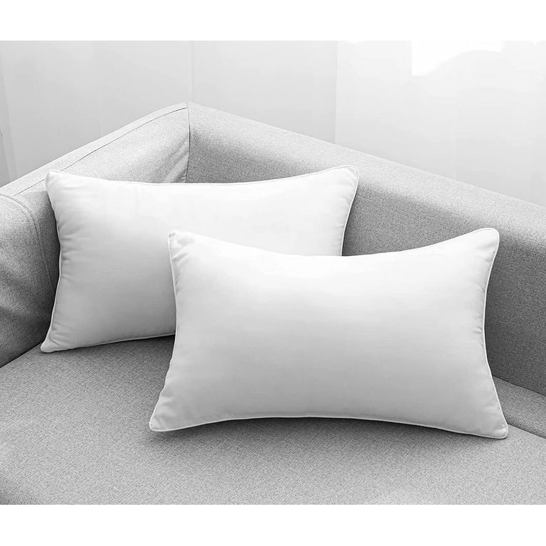 AM AEROMAX 20 ×20 Pillow Insert (Pack of 2) Memory Foam Throw Pillow Insert  Sham Square for Decorative Cushion Bed Couch Sofa Without Deform After
