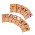 thumbnail image 4 of FUEENIRVA 12Pcs Handmade Greeting Card Set with Assorted Dried Flower Designs for Weddings and Parties, 4 of 8