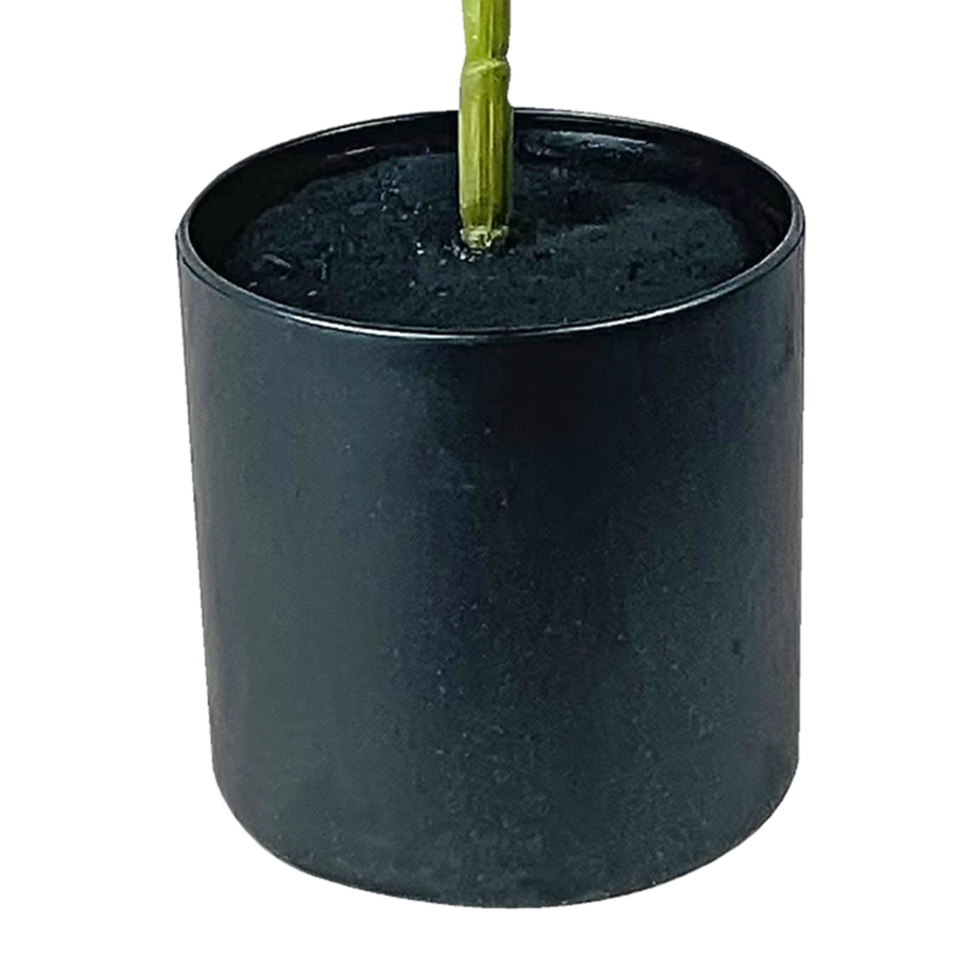 (2 pack) Mainstays Artificial Plant, Fiddle Leaf Fig Plant, 3.33 ft, Black Plastic Grower's Pot