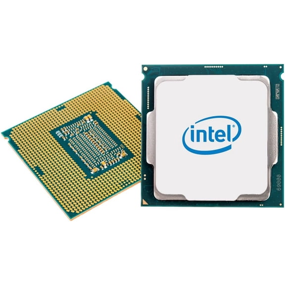 Intel Pentium Gold G5600F Desktop Computer, 3.9 GHz, New