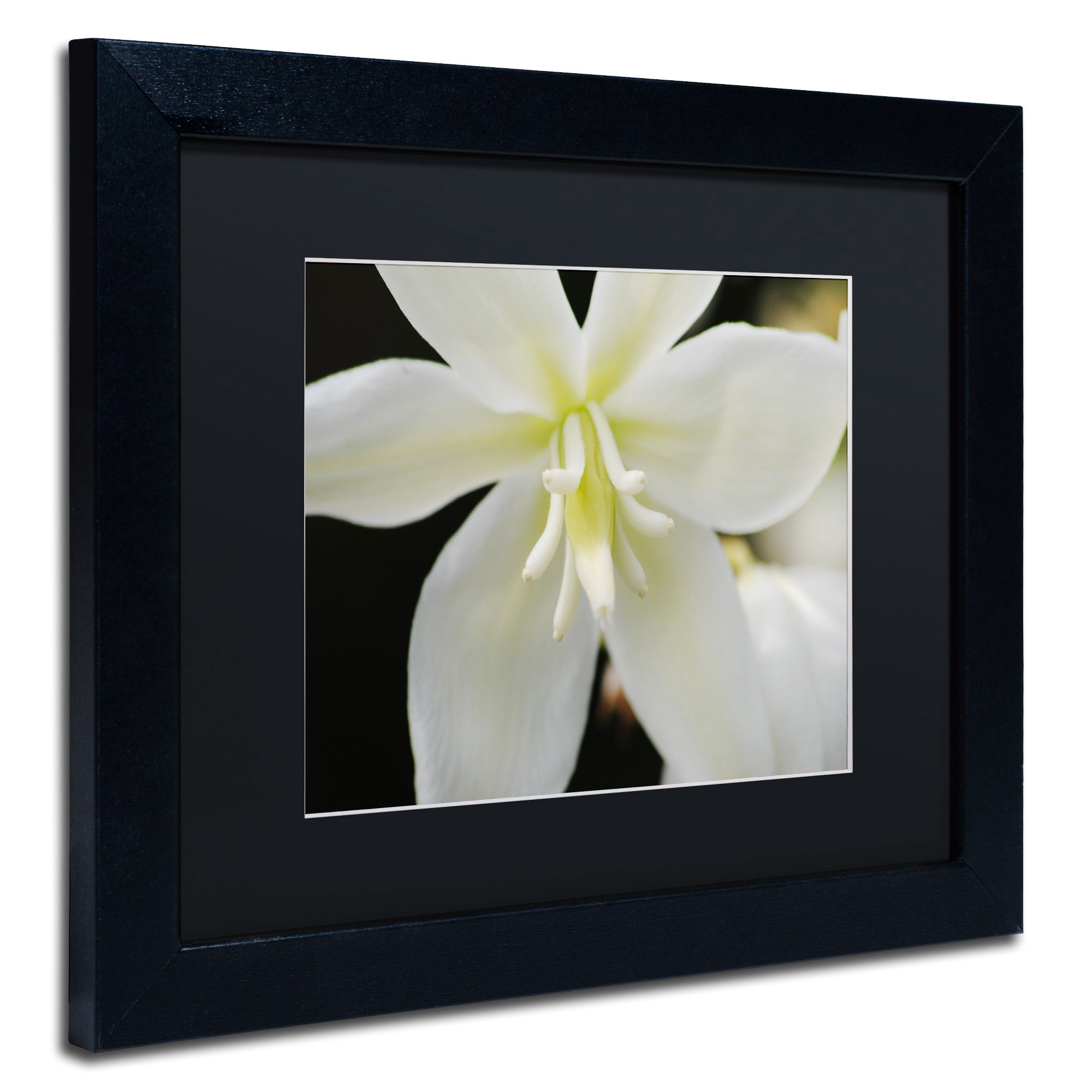 Trademark Fine Art Monica Mize 'Hope' 16 x 20 (MF149-B1620BMF)
