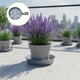 thumbnail image 1 of 10 Piezas Plato de Maceta Base de Florero Bandeja de Drenaje Innovadora de Pp Estable Y Transpirable Adecuada para Plantas de Interior Patio Balcón Ja Gris, 1 of 8