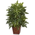 thumbnail image 1 of Nearly Natural Bracken Artificial Fern In Wooden Planter, 1 of 4