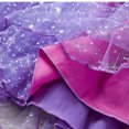 thumbnail image 6 of Toddler and Baby Girls Lace Fancy Birthday Costume Dress Halloween Cosplay Princess Dress Up, 6 of 9