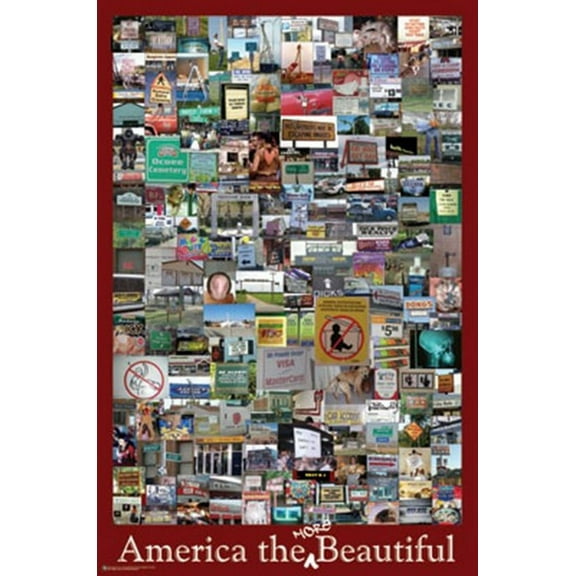 America The More Beautiful Poster (23 x 35)