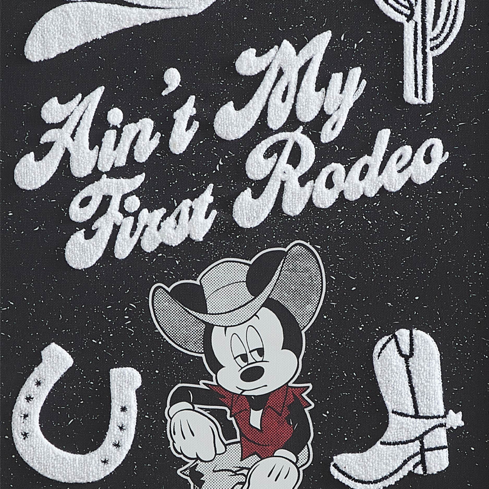 Disney Minnie Western, Wall Décor for Kids Room, 16" x 20"