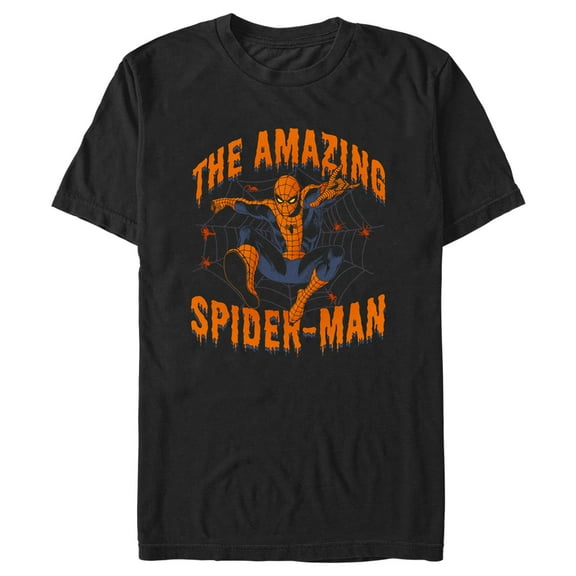 Men's Marvel Halloween The Amazing Spider-Man Web  Graphic Tee Black Small