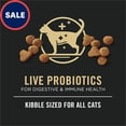 thumbnail image 2 of Purina Pro Plan All Life Stages Chicken and Rice Dry Kibble High Protein Cat Food 12.5 lbs., 2 of 2