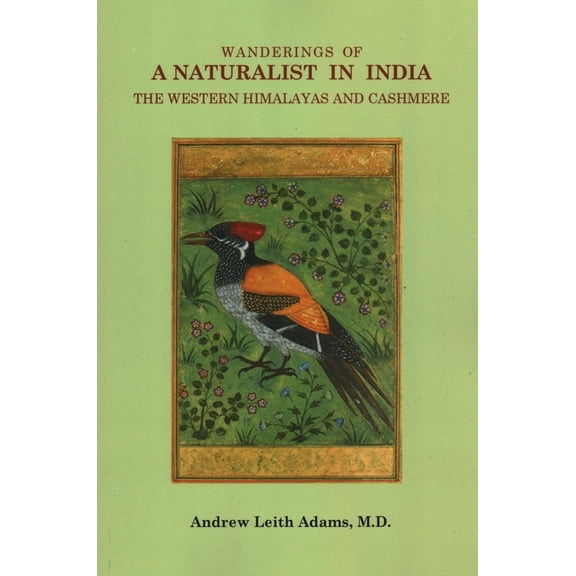Wanderings of a Naturalist in India, the Western Himalayas and Cashmere (Paperback)