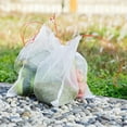 thumbnail image 3 of Garden Plant Fruit Net Netting Protection Bags Insect and Bird Protection, 3 of 5