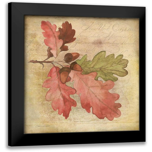 Marrott, Stephanie 12x12 Black Modern Framed Museum Art Print Titled - Oak Leaf 1