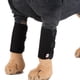 thumbnail image 3 of 2x perro canino pierna pata compresión envuelve rodillera con proteger heridas S negro Zulema Protección de la pierna del perro del gato del animal doméstico, 3 of 8