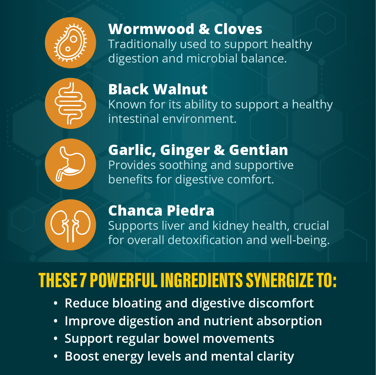 Rejuvica Health IntestiClear - Intestinal Cleanse Support - Contains Wormwood, Black Walnut, Ginger and More