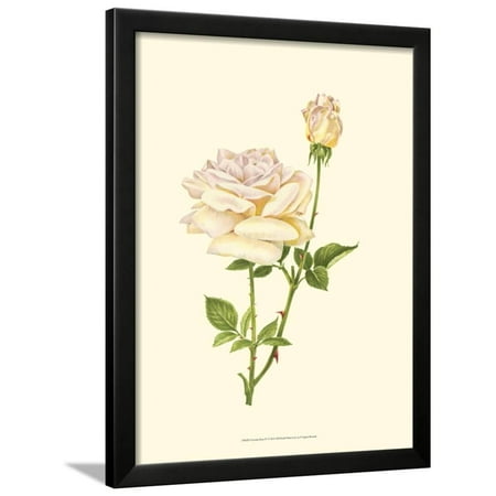 Victorian Rose Frame - Victorian Rose IV Framed Print Wall Art By P. Seguin-Bertault
