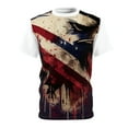 thumbnail image 1 of - "Stars and Stripes: A Patriotic American Illustration Tee" S-3XL, 1 of 7