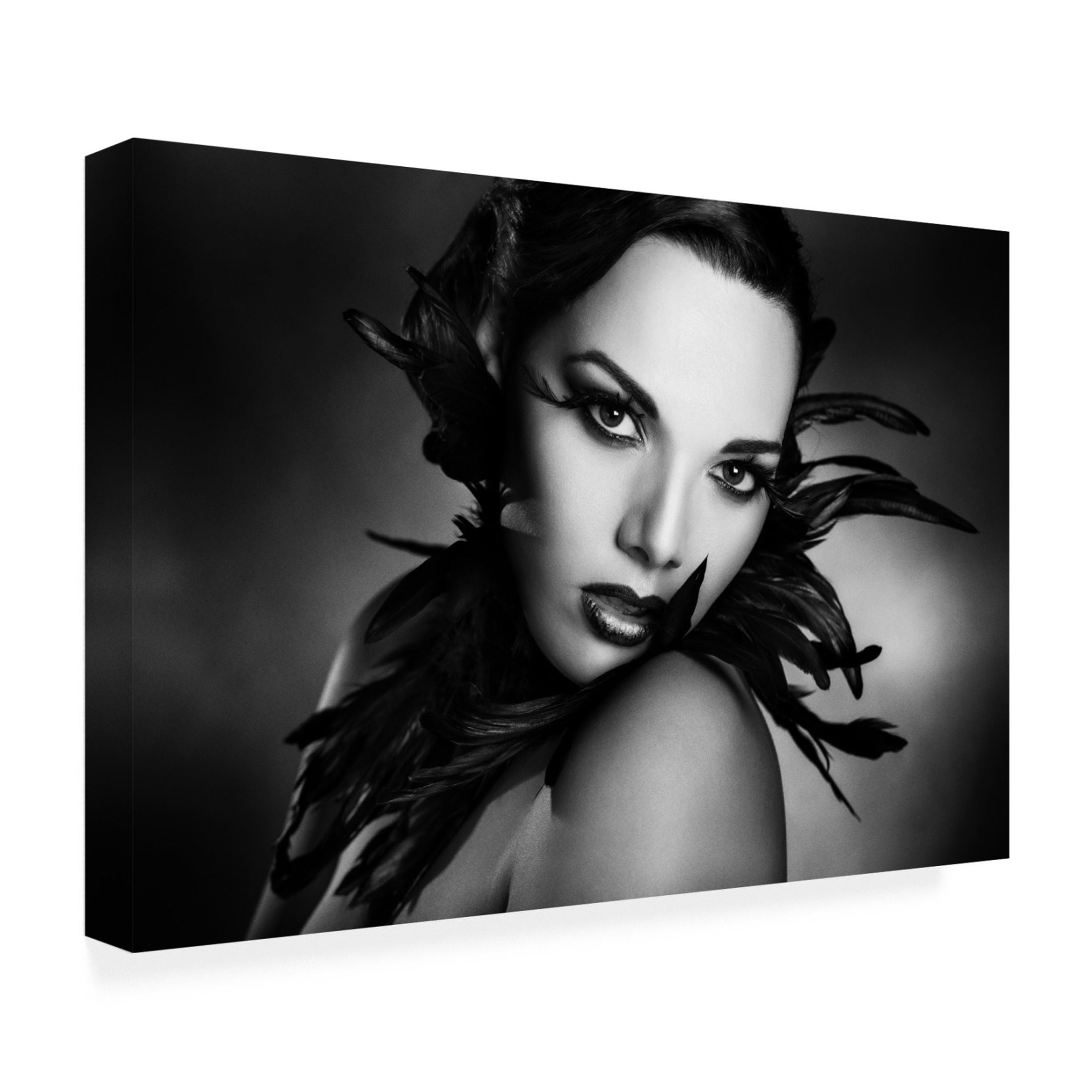 Canvas Wall Art - Peppe Tambe 'The Black Feathers' Wall Art for Living Room, Bedroom, or Office Décor by Trademark Fine Art - 19 x 12 Inches