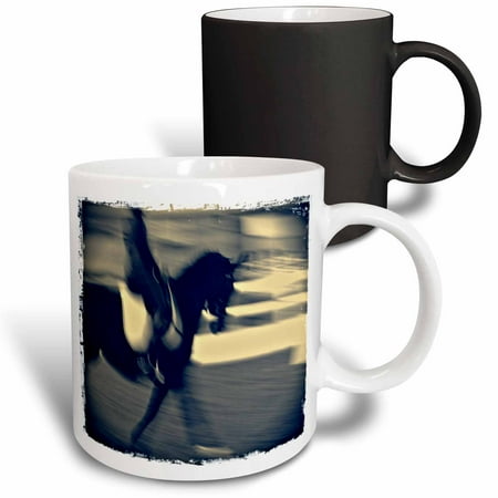 

3dRose Dressage Abstract By Angelandspot Magic Transforming Mug 11oz