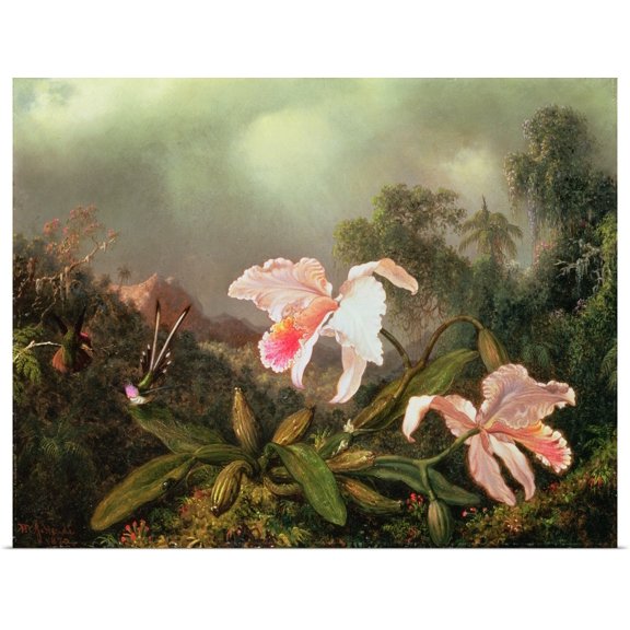 Great BIG Canvas | Rolled Martin (1819-1904) Heade Poster Print entitled Jungle orchids and hummingbirds, 1872